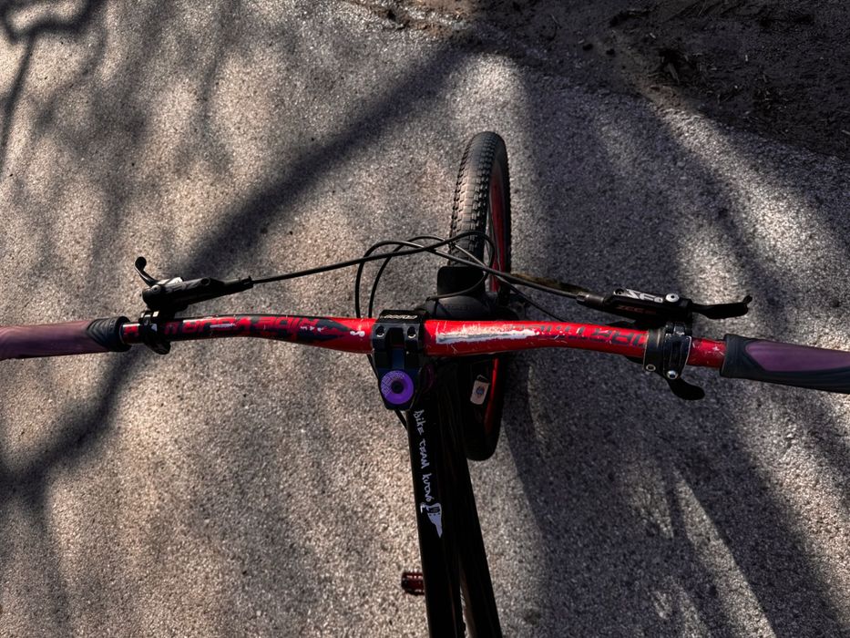 Dartmoor Hornet 2015