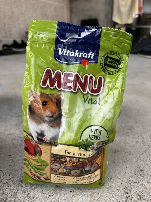 kit completo para hamster