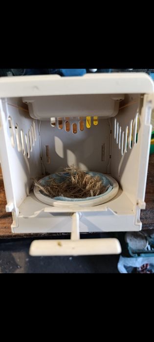 Ninhos 2gr para canários