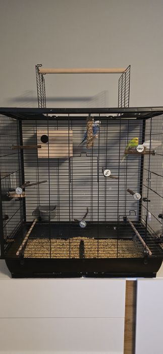 Papugi klatka woliera