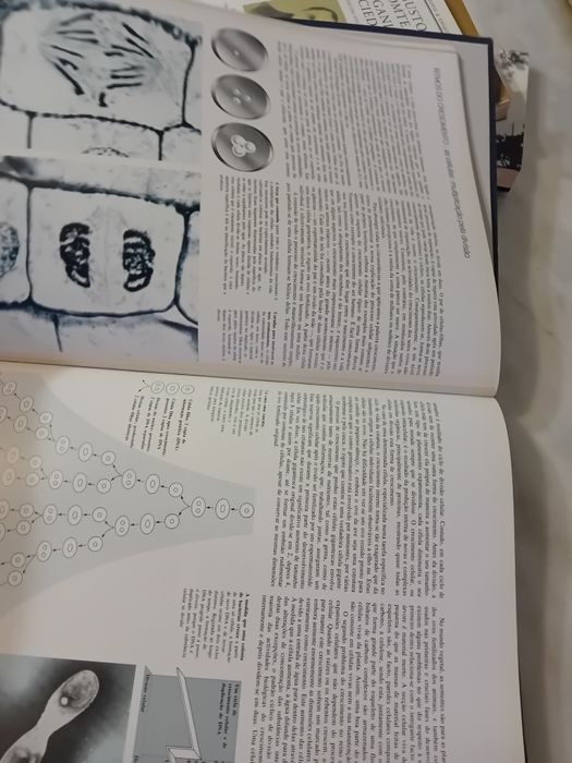 Livro Enciclopédico Ritmos da Vida