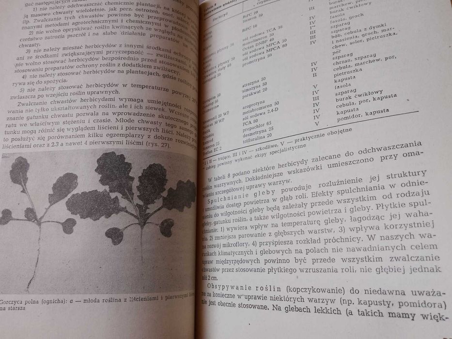 M. Lityński, H. Nieć "Warzywnictwo" 1982