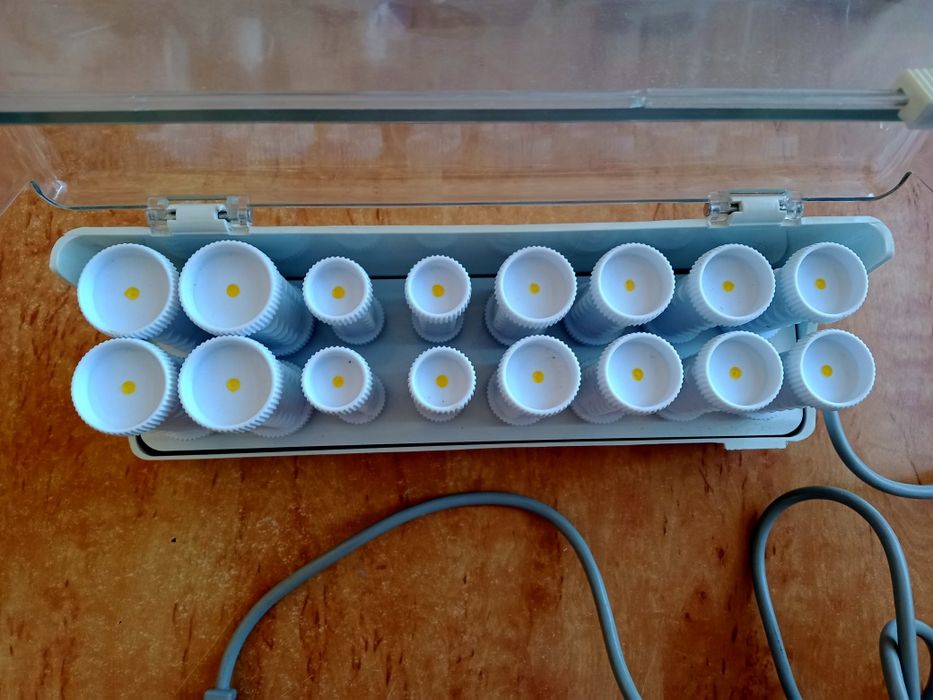 Бігуді електричні