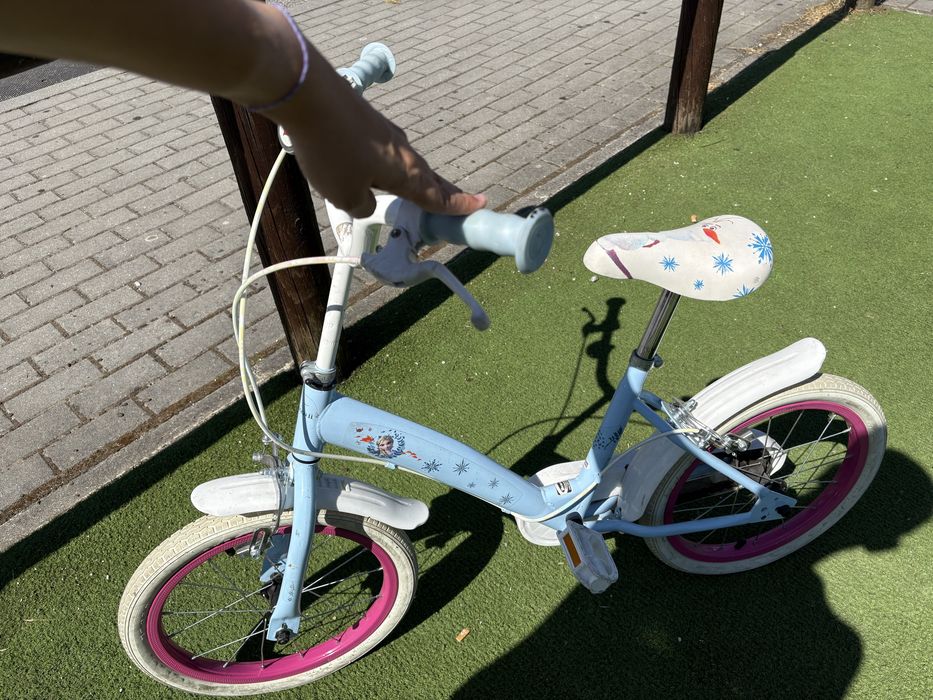 Bicicleta frozen