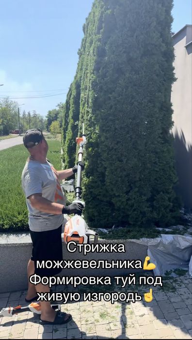 Стрижка и обрезка растений,садовник,уход за участком