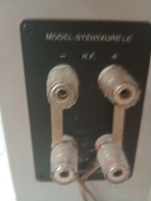 Davis Acoustics Stentaure LE – para kolumn | białe | doskonałe brzmien