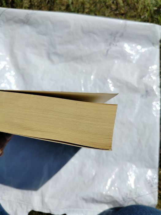 Książka Leopold Tyrmand - Zły