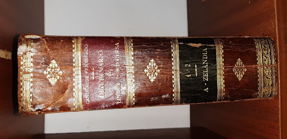 Dicionário da Língua Portuguesa