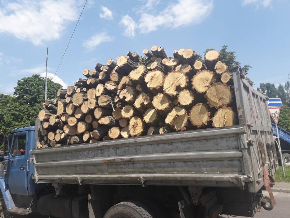 Дрова метровки та чурки різних порід НЕДОРОГО!