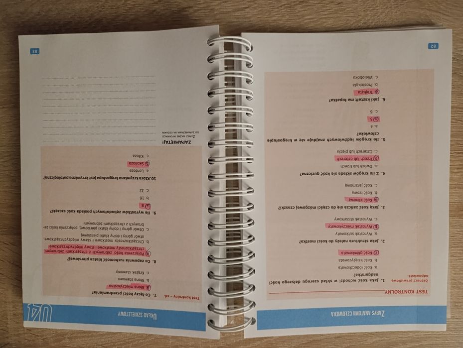 Zarys anatomii człowieka