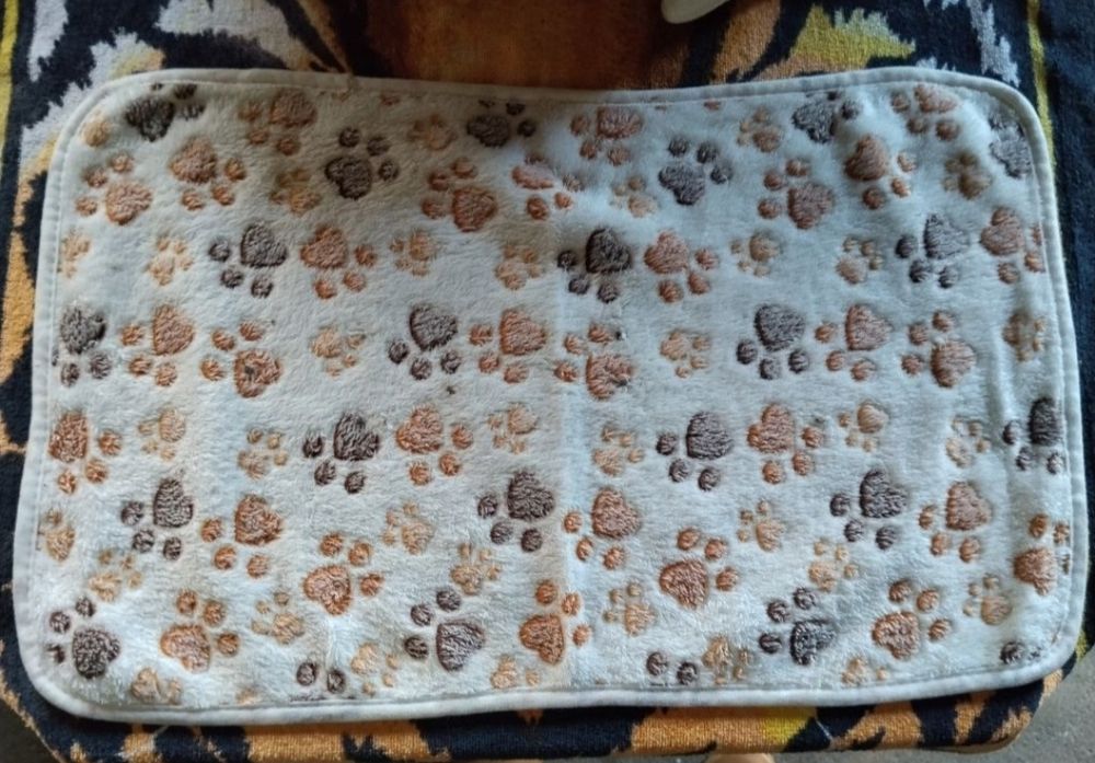 Casa de banho  XL Gato +Tapetes+ tesoura,escova,e fivela