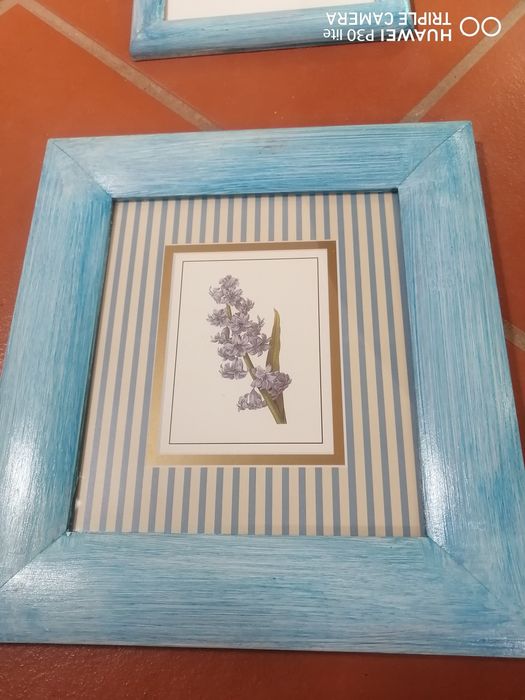 4 Quadros flores