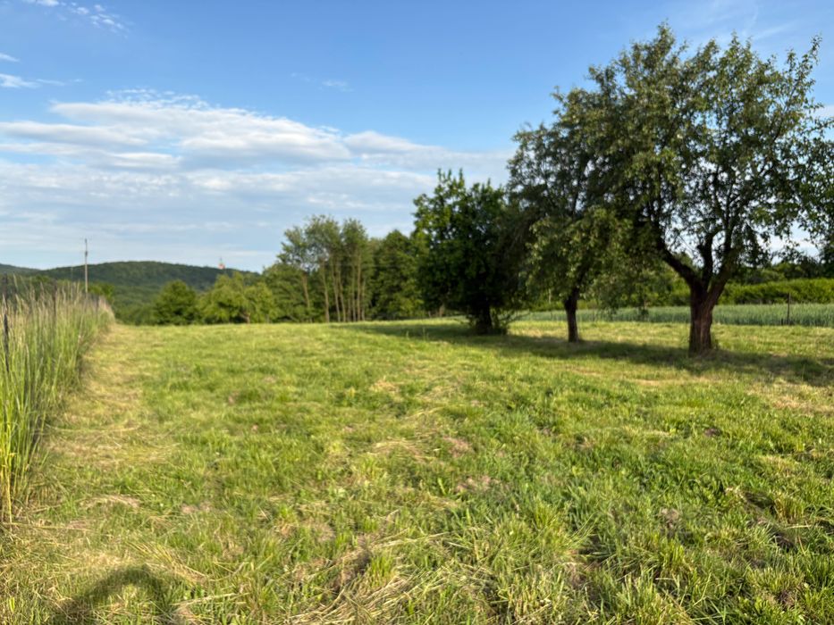 Kwaczała działka 4948 m²ogrodzona z mediami, garażem i ogrodem 5min a4