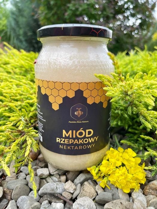 Miód Rzepakowy 2025 1,2KG Naturalny