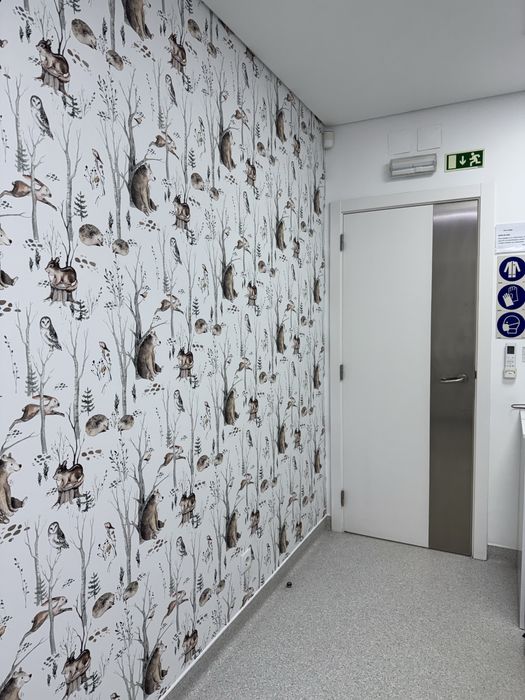Aplicação Profissional de Papel de Parede522595407349698565