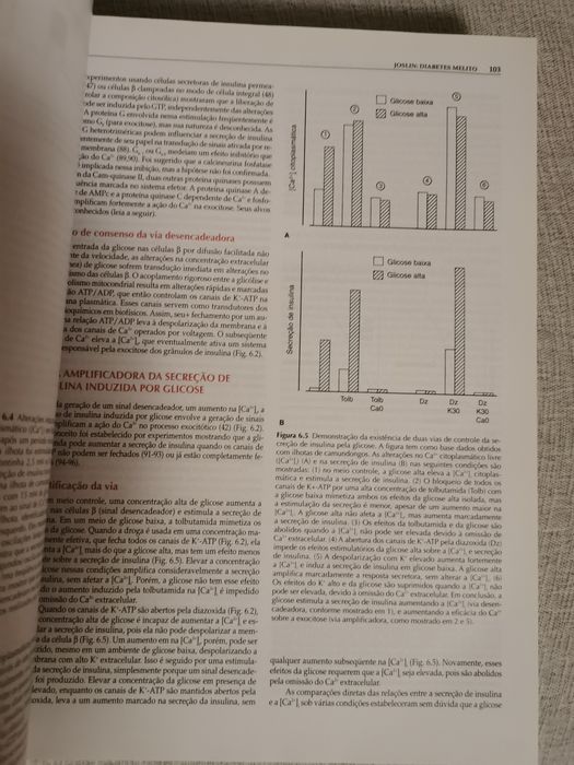 Joslim Diabetes Melito