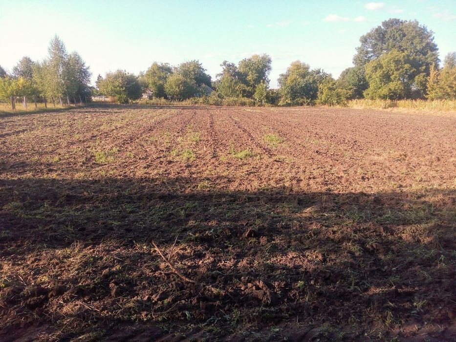 Господарство 70 сотих землі для життя і під бізнес(під будь які держав