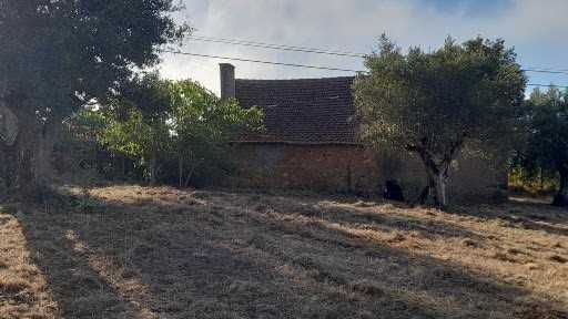 Moradia independente inserida num terreno com 15.000 m2