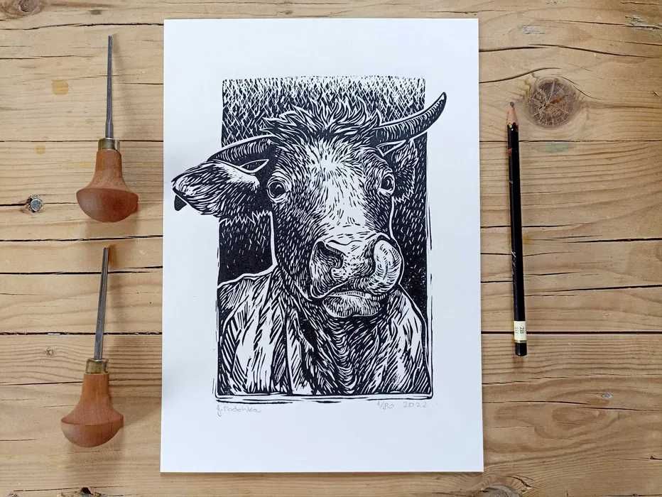 Linoryt krowa, grafika A4