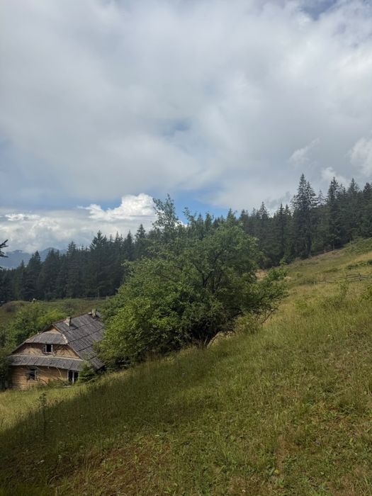 Земельна ділянка Верховина ТЕРМІНОВО