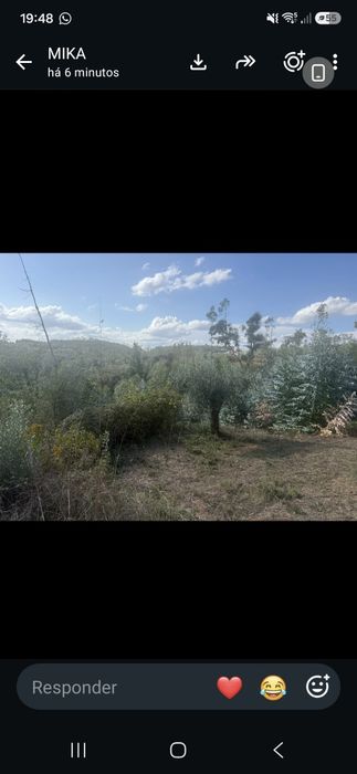 Terreno 5 mil m2