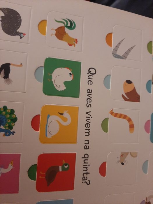 Livro Quinta 100 Janelinhas para Conhecer Novo