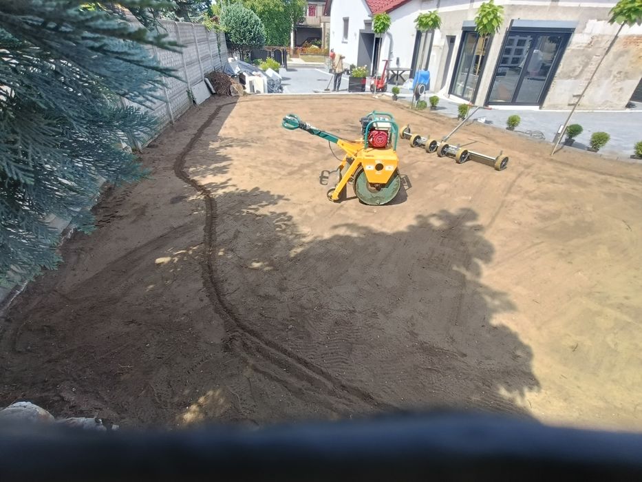 Trawnik z siewu w jeden dzień  #Trawa z rolki #nawadnianie automatyczn