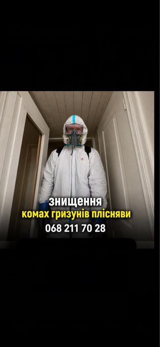 Травля тарганів клопів блох шершнів щурів мишей. Уничтожение тараканов клопов блох крыс мышей . Вытравить тараканов. Удаление плесени