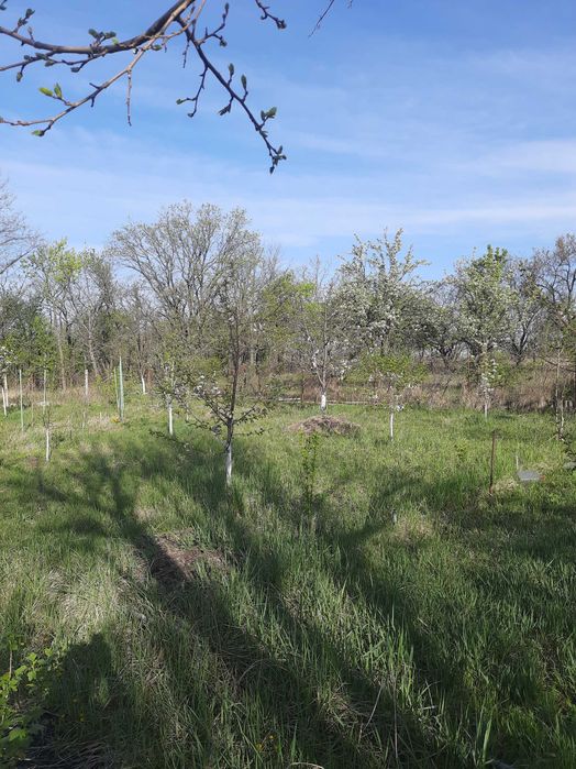 Дача в с. Ямбург