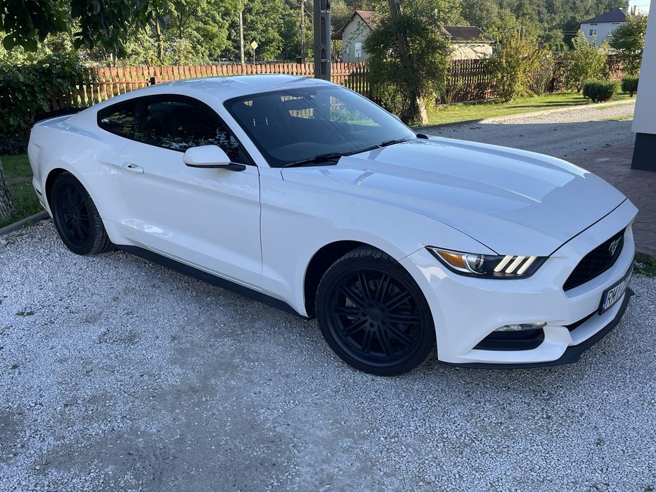 Ford Mustang 3.7 automat / 40.000km przebieg / bezwypadkowy / piękny / ZAMIANA NA BMW E30, e36, e38, e39, e92, focusa ST/RS 2013+ nie 2.3, 5.0