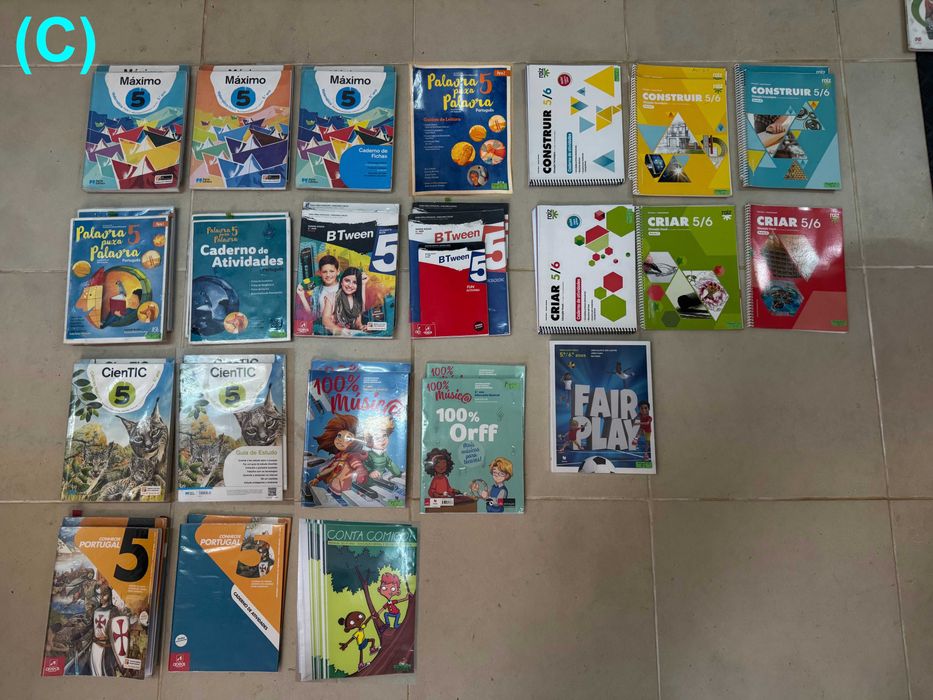 Manuais escolares para o 1, 2 e 3 Ciclo (1º ao 9º ano) - VER VÁRIOS