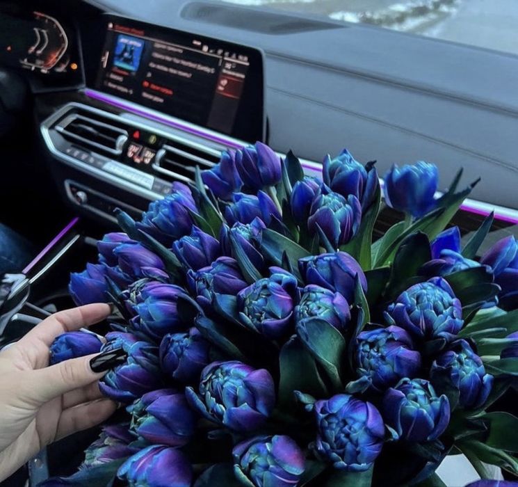 Квіти, доставка ужгород, тюльпан,троянда