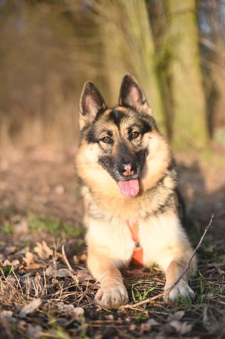 Kloe mądra, oddana indywidualistka