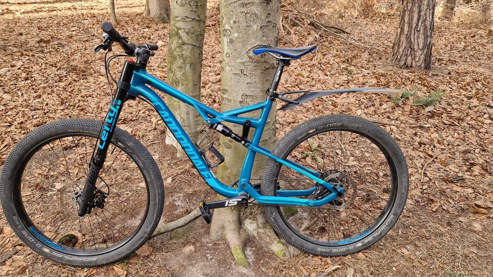 Cannondale bad habit 1 lefty rama L

Bad Habit 1