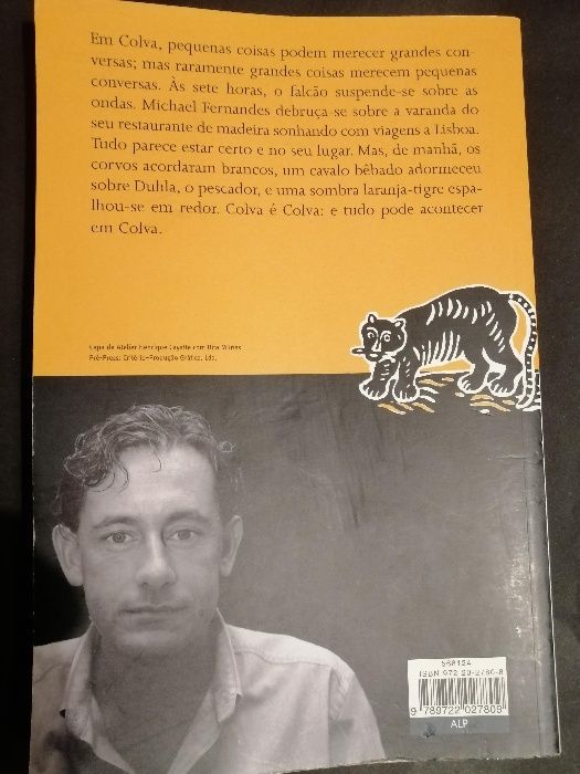 Livro Uma Sombra Laranja Tigre
