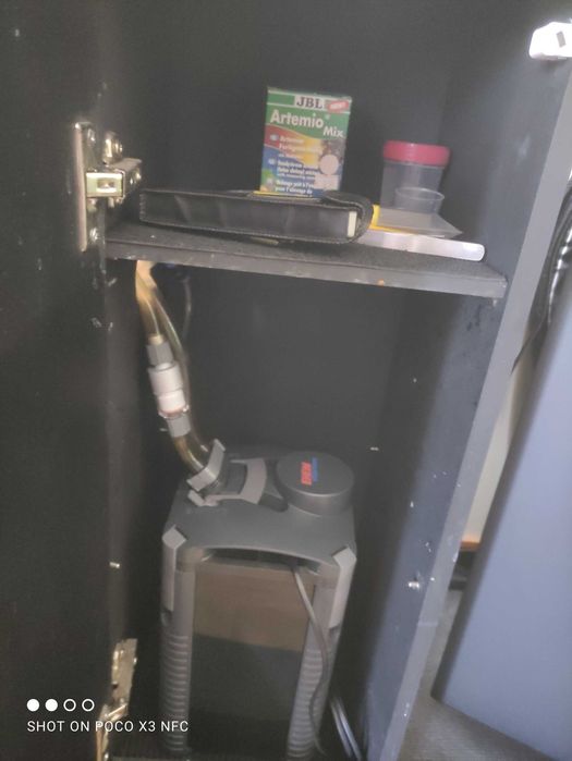 Aquário plantado completo