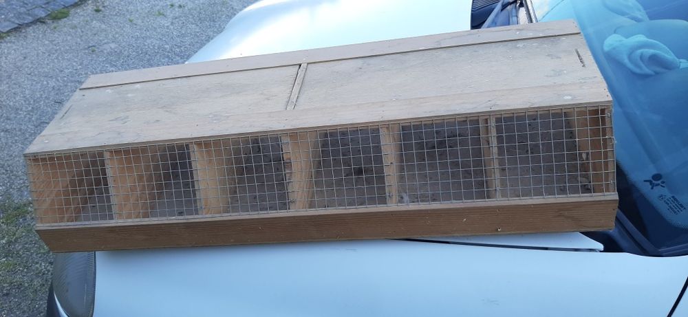 Transportadora de aves e separador de sementes