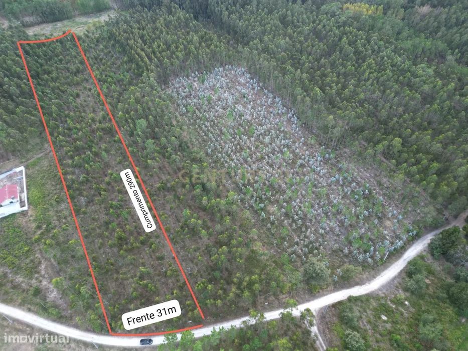 Terreno de 9.275 m² à Venda - Oportunidade de Investimento em Zona Ver