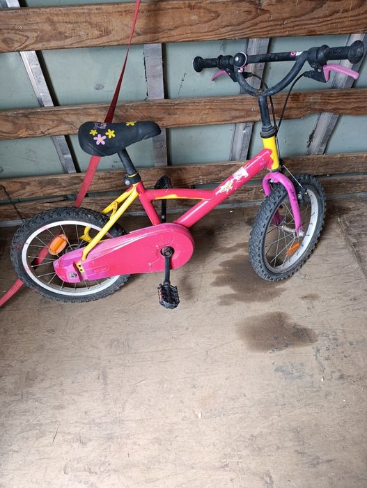 Lote de bicicletas