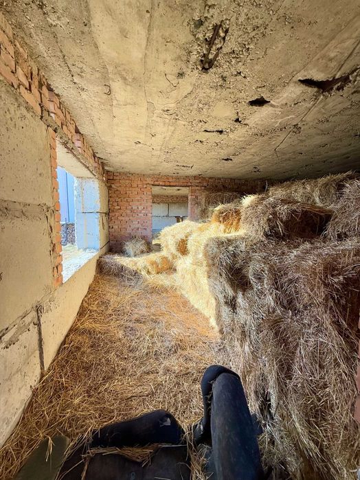 Продаж земельної ділянки з незавершеним будинком у с. Грушів