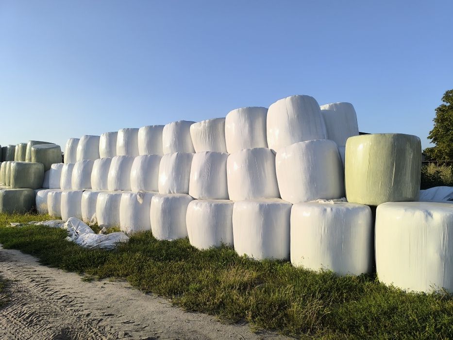 Sianokiszonka w  Belach