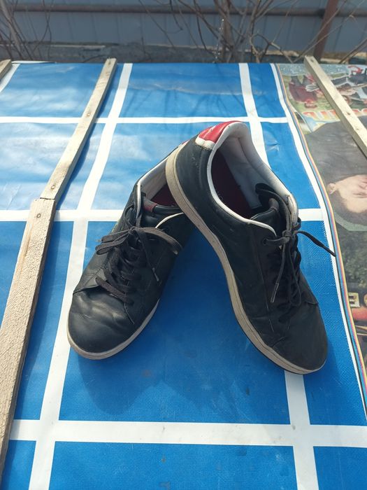 Кросівки чоловічі Lacoste