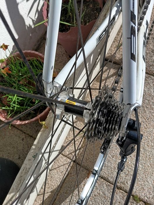 Bicicleta em carbono BH