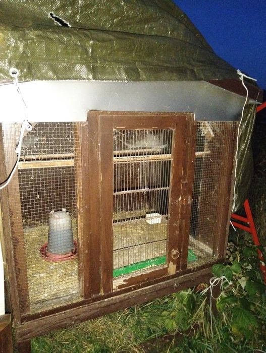 Klatki woliery dla papug gdrobiu przepiórek królików kur kurczakow