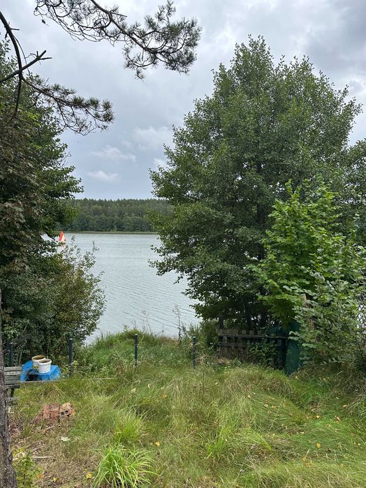 Odstąpię dzierżawę działki leśnej na Kaszubach - Widok 2