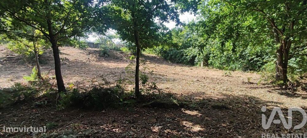 Terreno em Romarigães