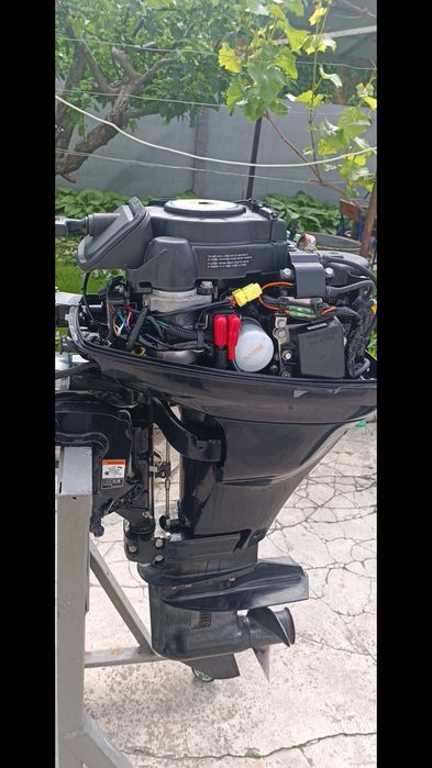 Mercury 15 4T. 2017 starter