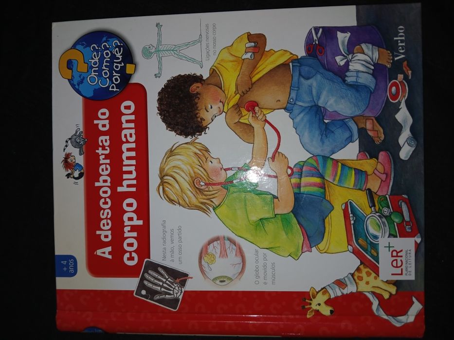 À descoberta do corpor humano, verbo