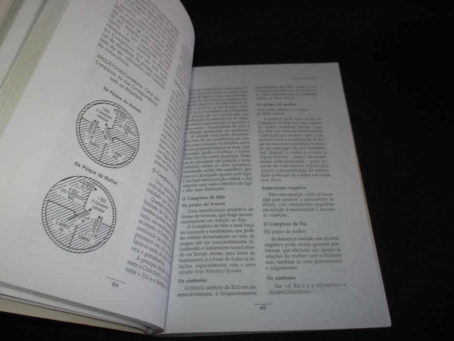 Livro Dicionário dos Símbolos Tom Chetwynd