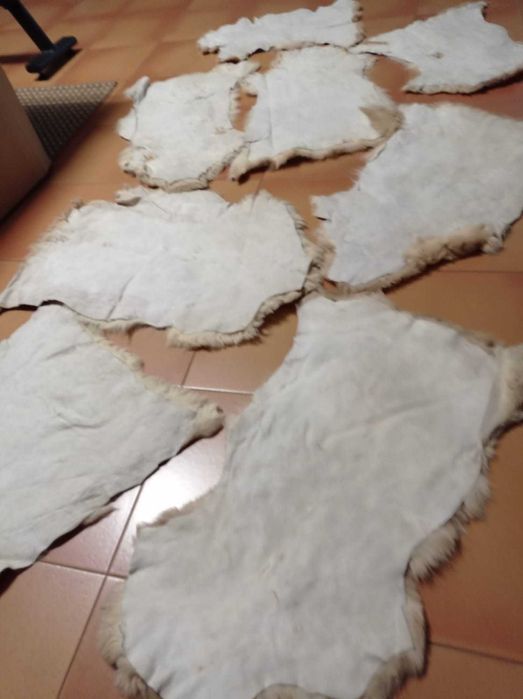 Peles Cordeiro em ótimo estado (55 peles)
